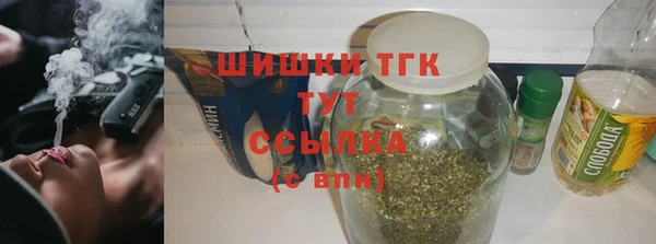 твердый Бородино