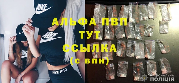 шишки Майский