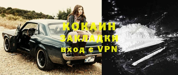 шишки Майский