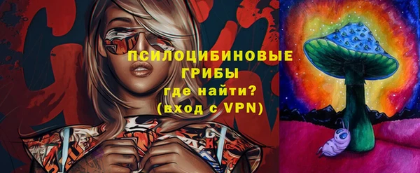 дживик Мегион