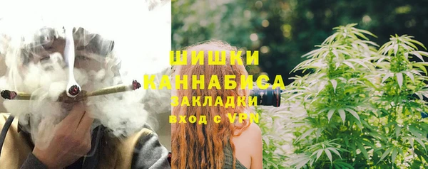 шишки Майский