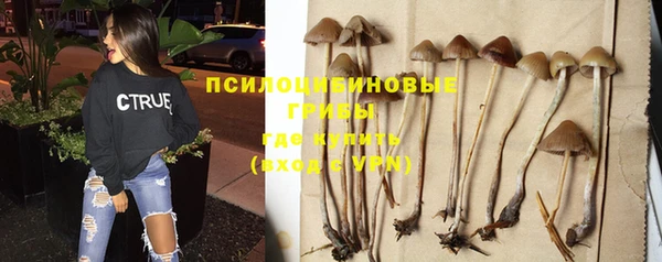 дживик Мегион