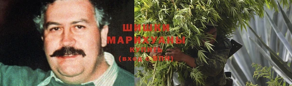 МДПВ Медногорск