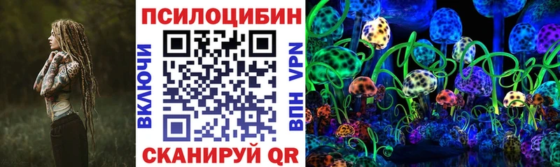 KRAKEN ONION  Ивангород  Псилоцибиновые грибы GOLDEN TEACHER 